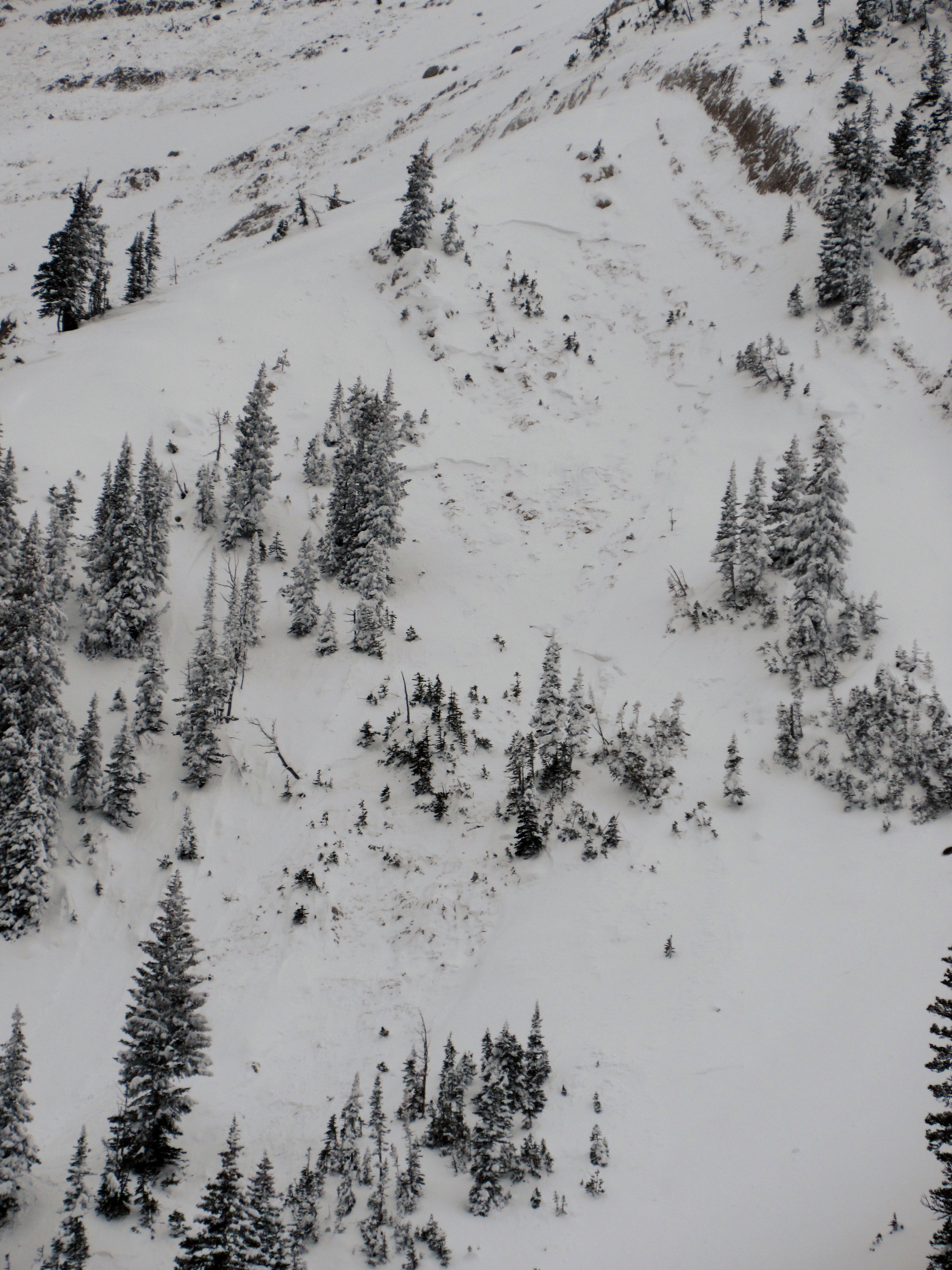 Natural Avalanche at Bridger