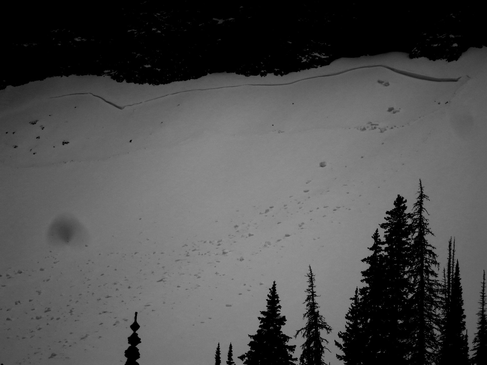 Natural Avalanche Near Flanders 2