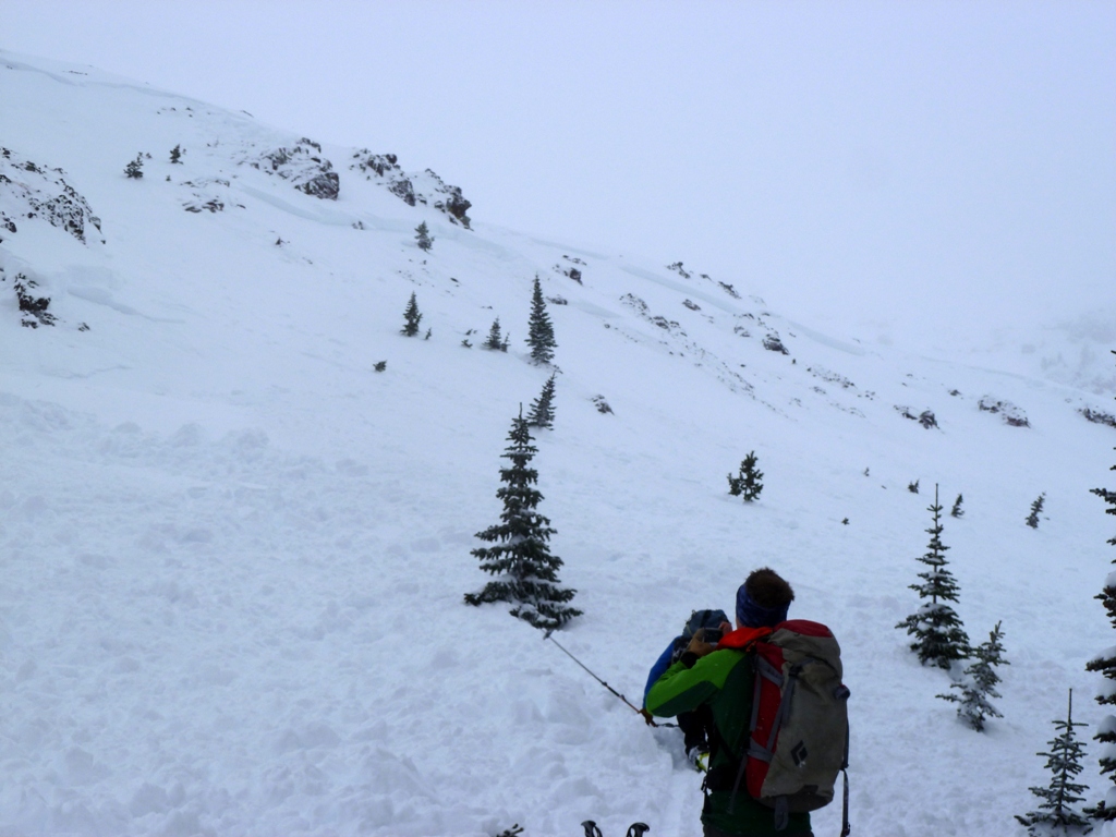 Natural Avalanche - Northern Gallatin Range