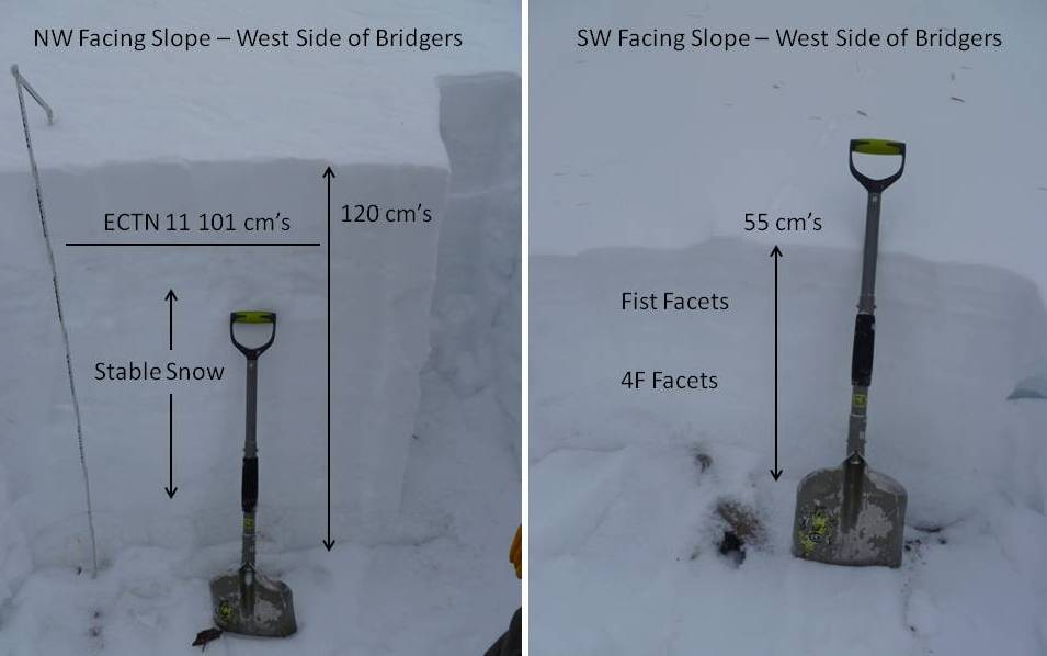 Spatial Variability  - Bridger West Side