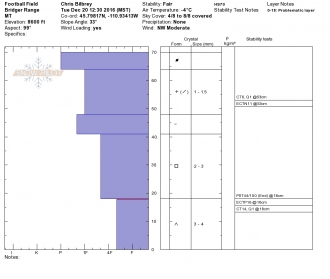 Football Field Profile