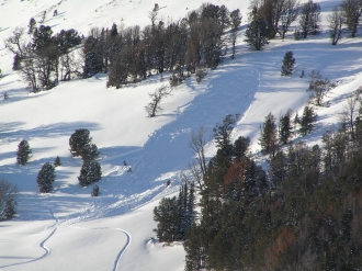 Cedar Mountain Avalanche-close up