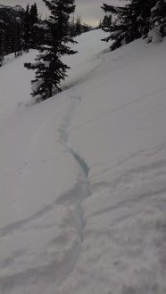 Shooting Cracks - Northern Gallatin Range 